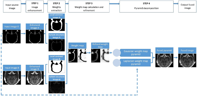 Multimodality anatomical image fusion method