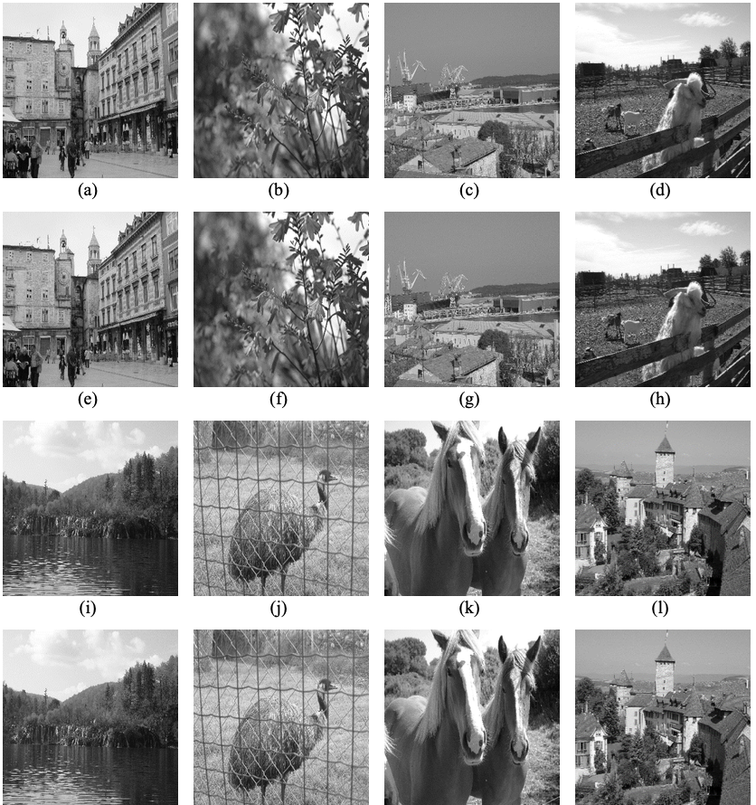 Block based blind and secure gray image watermarking technique