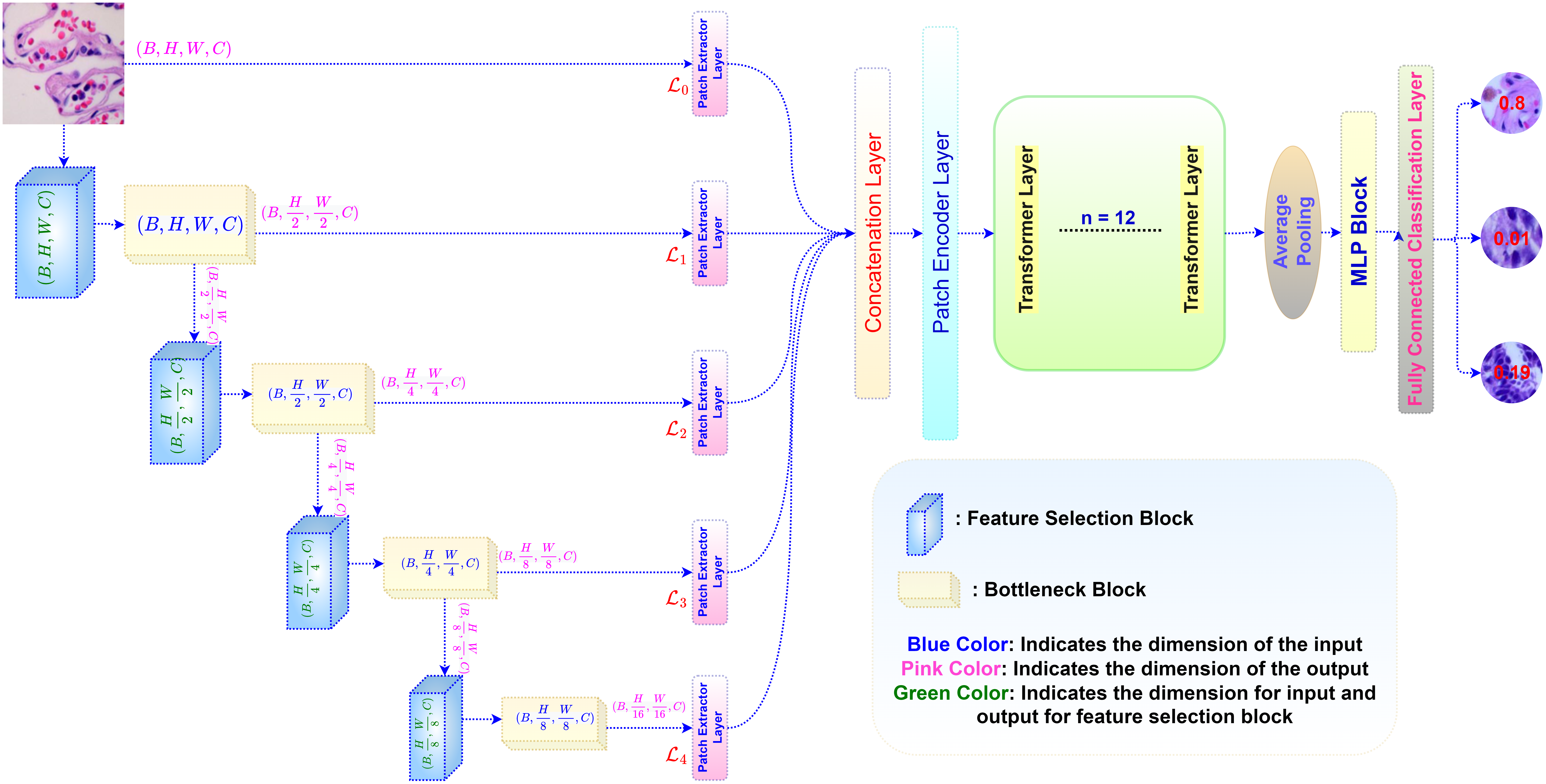 Transformer-based hierarchical model for non-small cell lung cancer