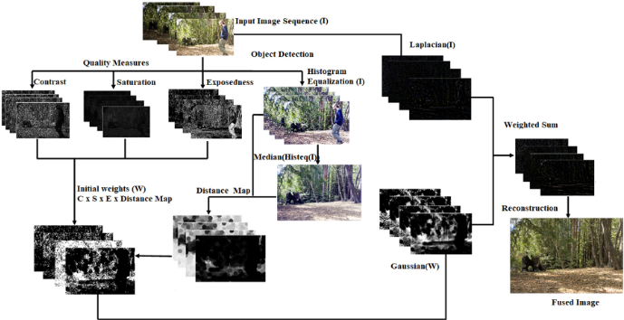 Multi-exposure image fusion technique using multi-resolution blending